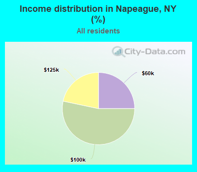 Income distribution in Napeague, NY (%)