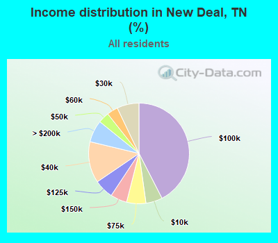 Income distribution in New Deal, TN (%)