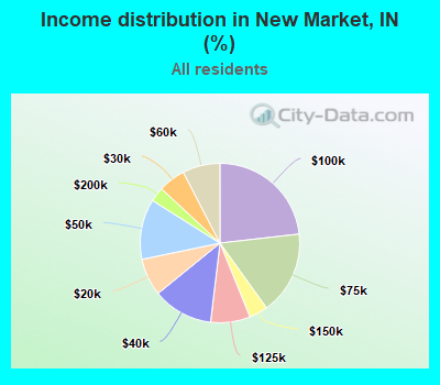 Income distribution in New Market, IN (%)