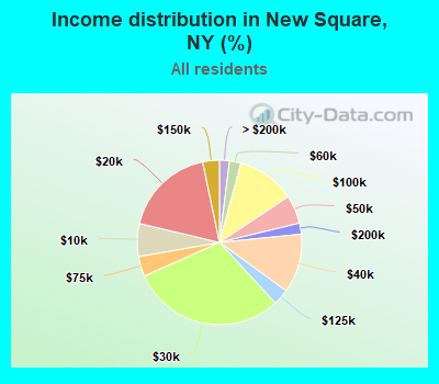 Income distribution in New Square, NY (%)