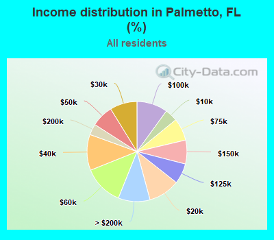 Income distribution in Palmetto, FL (%)