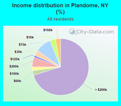 Income distribution in Plandome, NY (%)