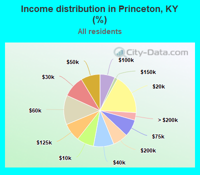 Income distribution in Princeton, KY (%)