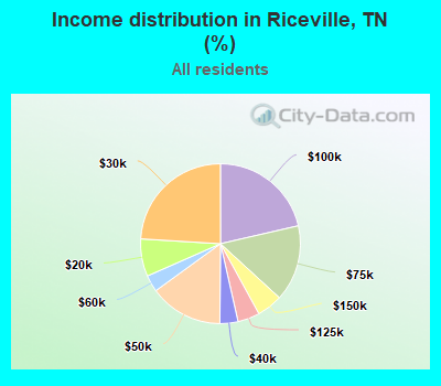 Income distribution in Riceville, TN (%)