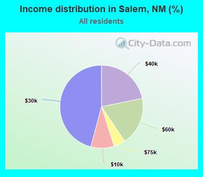 Income distribution in Salem, NM (%)