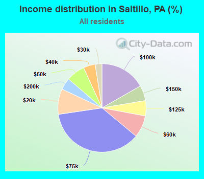 Income distribution in Saltillo, PA (%)