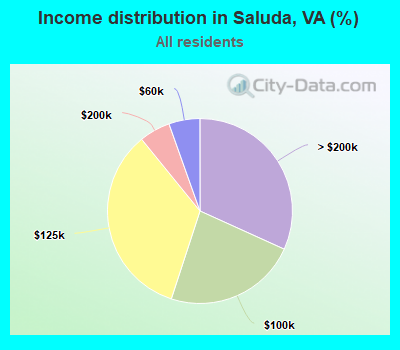 Income distribution in Saluda, VA (%)