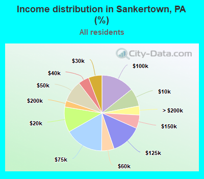 Income distribution in Sankertown, PA (%)
