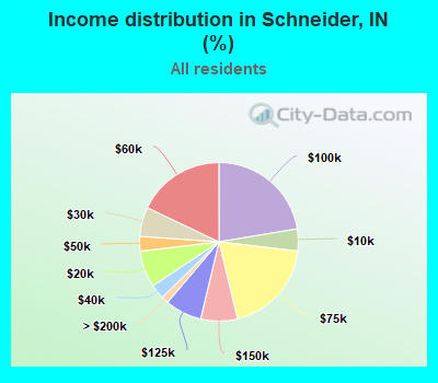 Income distribution in Schneider, IN (%)