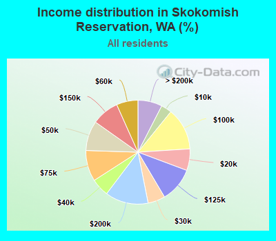 Income distribution in Skokomish Reservation, WA (%)