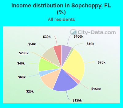 Income distribution in Sopchoppy, FL (%)