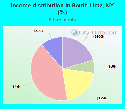Income distribution in South Lima, NY (%)