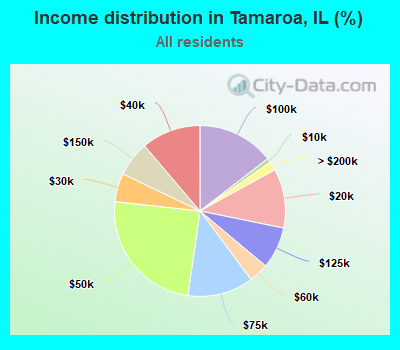Income distribution in Tamaroa, IL (%)