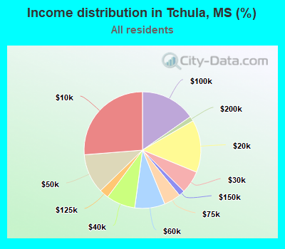 Income distribution in Tchula, MS (%)