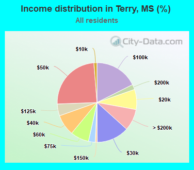 Income distribution in Terry, MS (%)