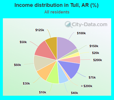 Income distribution in Tull, AR (%)