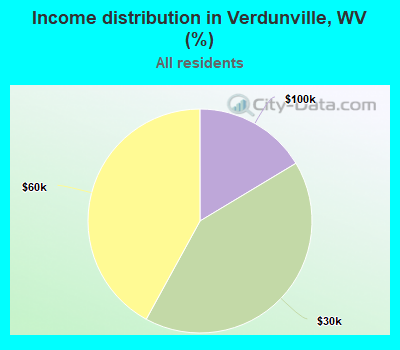 Income distribution in Verdunville, WV (%)