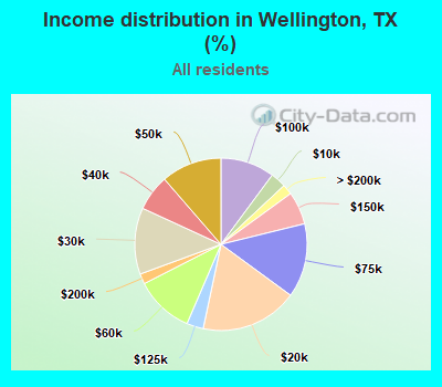 Income distribution in Wellington, TX (%)
