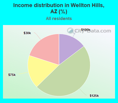 Income distribution in Wellton Hills, AZ (%)