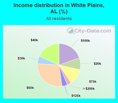 Income distribution in White Plains, AL (%)