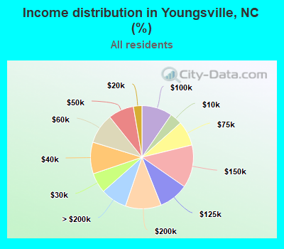 Income distribution in Youngsville, NC (%)