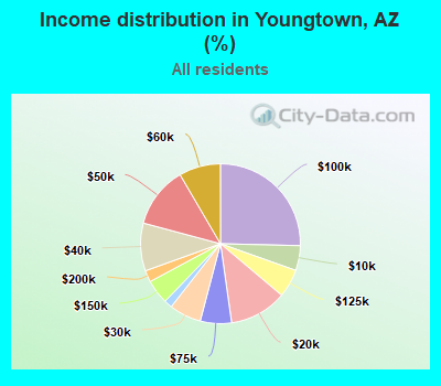 Income distribution in Youngtown, AZ (%)