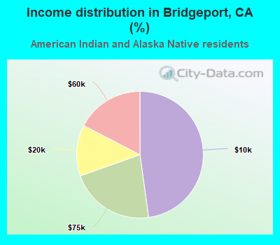 Income distribution in Bridgeport, CA (%)