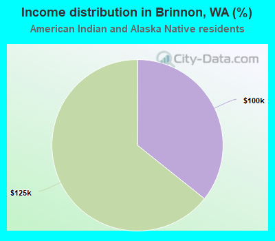 Income distribution in Brinnon, WA (%)