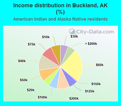 Income distribution in Buckland, AK (%)