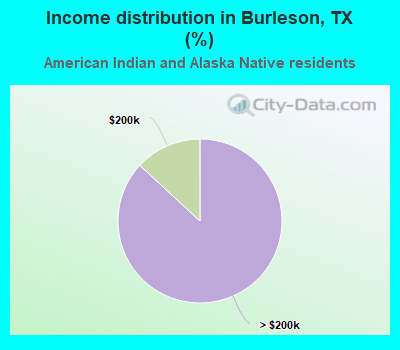 Income distribution in Burleson, TX (%)