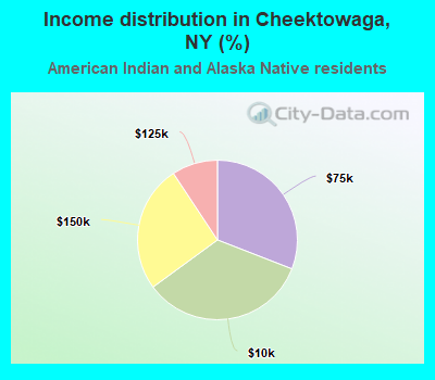 Income distribution in Cheektowaga, NY (%)
