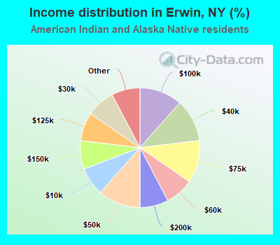 Income distribution in Erwin, NY (%)