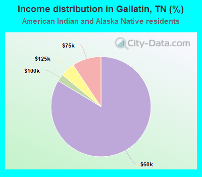 Income distribution in Gallatin, TN (%)