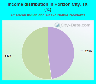 Income distribution in Horizon City, TX (%)