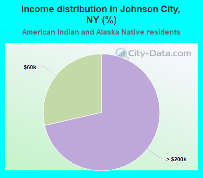Income distribution in Johnson City, NY (%)