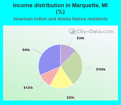 Income distribution in Marquette, MI (%)