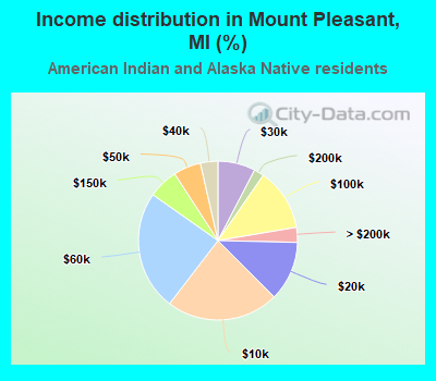 Income distribution in Mount Pleasant, MI (%)