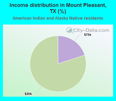 Income distribution in Mount Pleasant, TX (%)