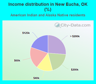 Income distribution in New Eucha, OK (%)