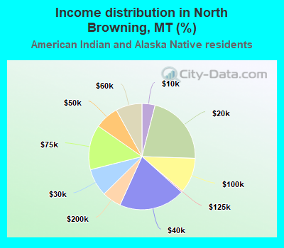 Income distribution in North Browning, MT (%)