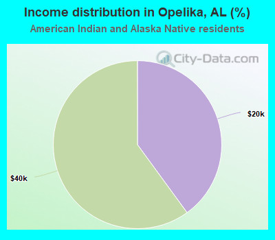 Income distribution in Opelika, AL (%)