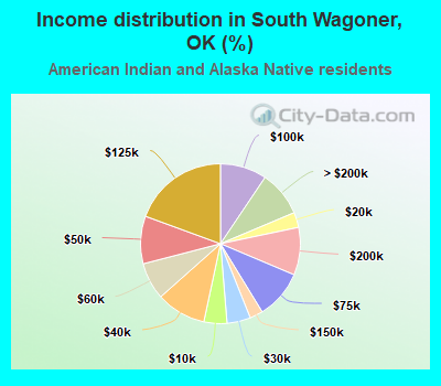 Income distribution in South Wagoner, OK (%)
