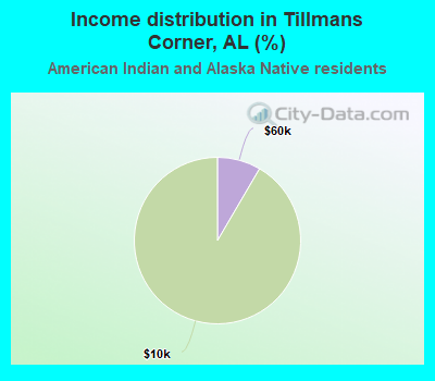 Income distribution in Tillmans Corner, AL (%)