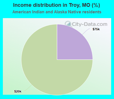 Income distribution in Troy, MO (%)