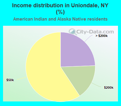 Income distribution in Uniondale, NY (%)