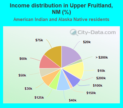 Income distribution in Upper Fruitland, NM (%)