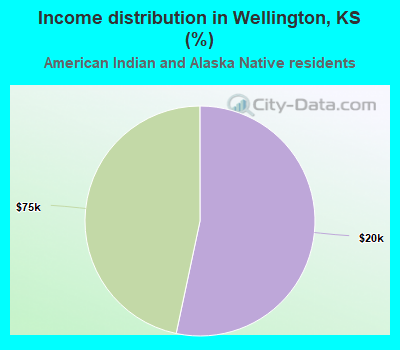 Income distribution in Wellington, KS (%)