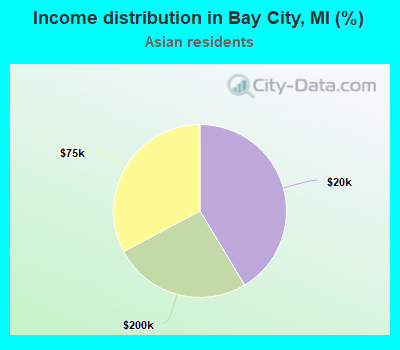 Income distribution in Bay City, MI (%)