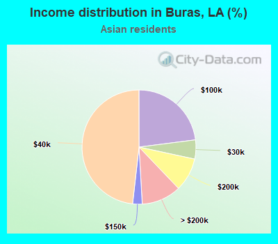Income distribution in Buras, LA (%)