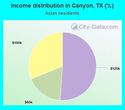 Income distribution in Canyon, TX (%)